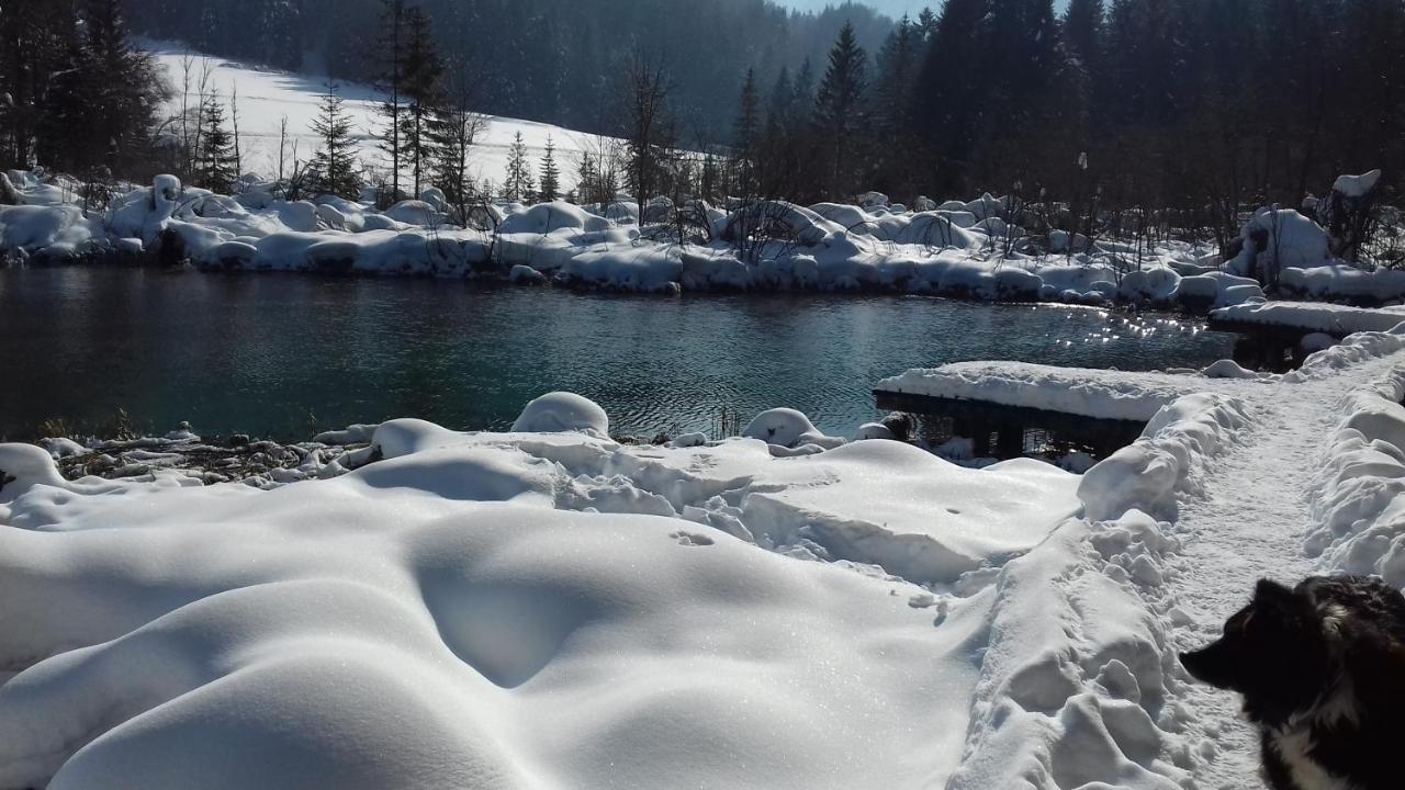 Apartma Kramar Podkoren Kranjska Gora Esterno foto